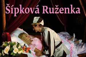 Smejko a Tanculienka - Šípková Ruženka