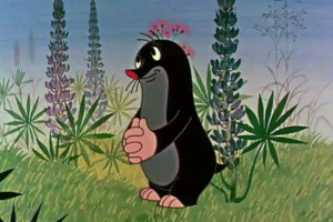 Jak krtek ke kalhotkám přišel